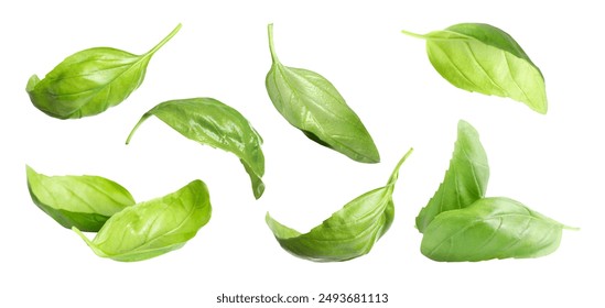 2xnv2q3xi